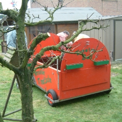 Tomate_07