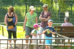 Draisinenfahrt2010 011