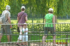 Draisinenfahrt2010 012