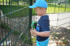 Draisinenfahrt2010 013