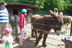 Draisinenfahrt2010 014