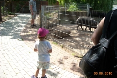 Draisinenfahrt2010 015