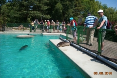 Draisinenfahrt2010 035