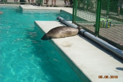 Draisinenfahrt2010 036