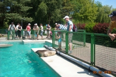 Draisinenfahrt2010 037